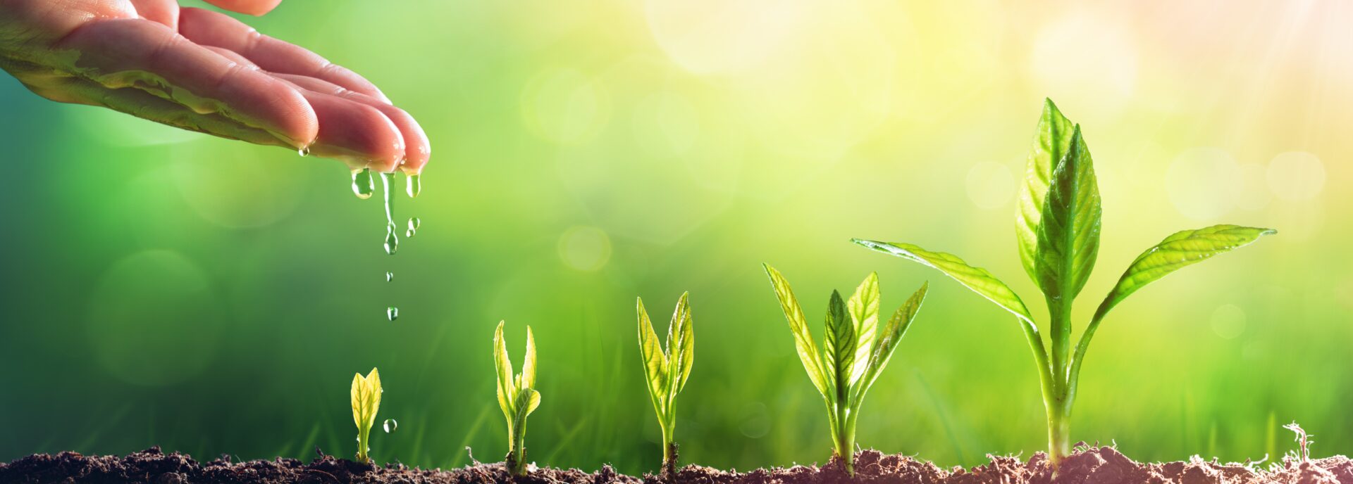 Auteur: <span>admin</span>